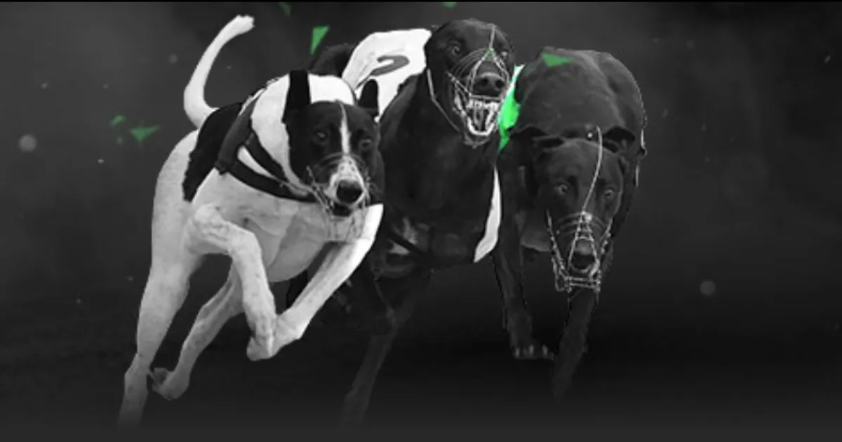 贝恩指出詹,金斯下课,责任归属我,开云直播足球,足球赛事平台,足球比赛直播,足球赛事资讯,足球比赛信息