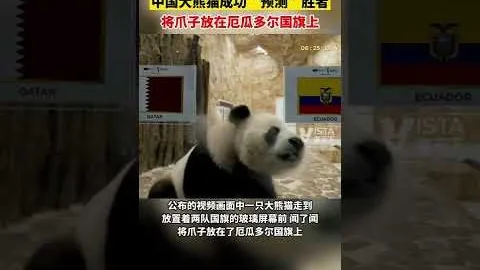 谌龙晋升国青羽毛球队主教练，迈入执教生涯新阶段。